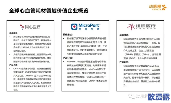 性欧美巨头在全球市场的竞争激化，最新动态显示其在技术创新和市场开拓方面获得明显进展